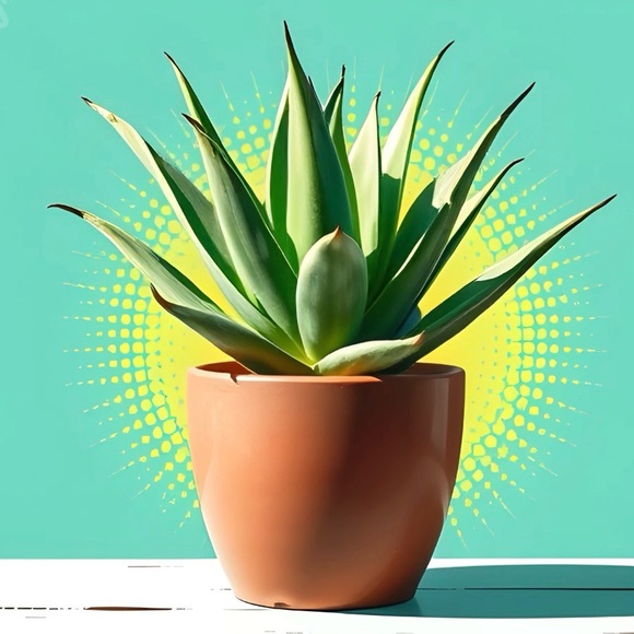 Posh Live with @jdol 🤗🩷🤗 - Picture 10 of 10